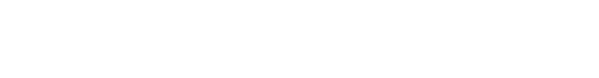 ZIEL
